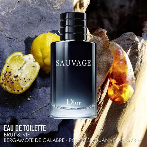 dior sauvage eau de toilette or eau de parfum|eau sauvage de chez Dior.